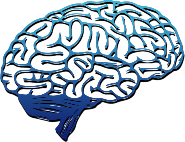 Psicomotricidade e a Neurociência